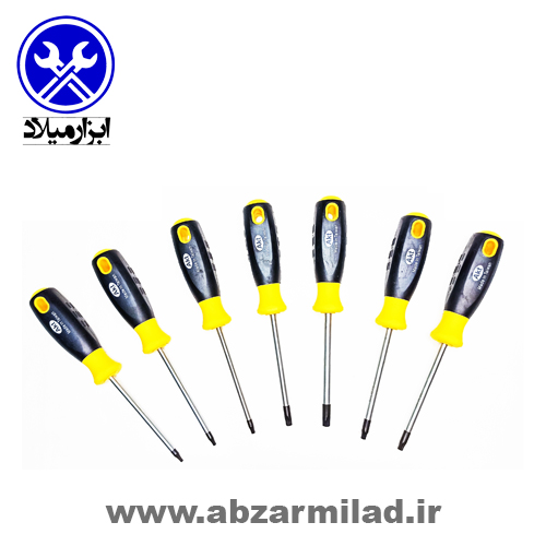 پیچ گوشتی ستاره‌ای AKT